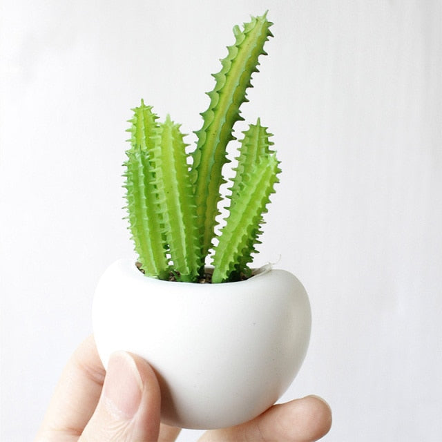 Plant Fridge Magnets