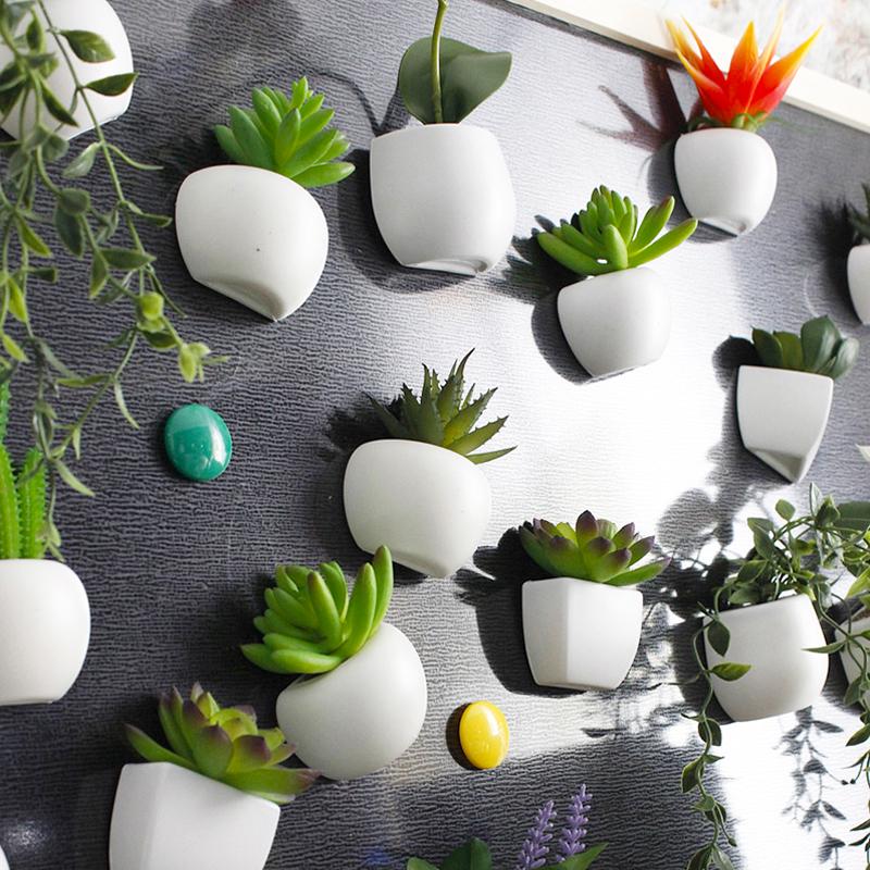 Plant Fridge Magnets