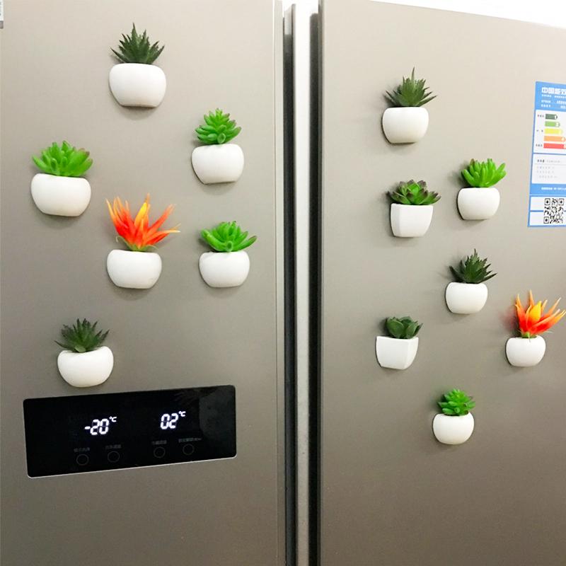 Plant Fridge Magnets