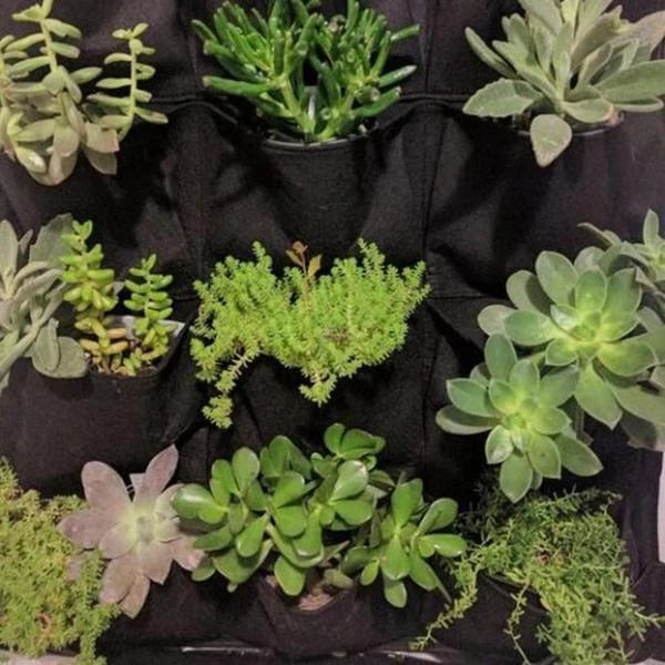 Vertical Hanging Wall Plant Pots