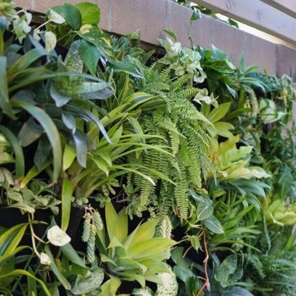 Vertical Hanging Wall Plant Pots
