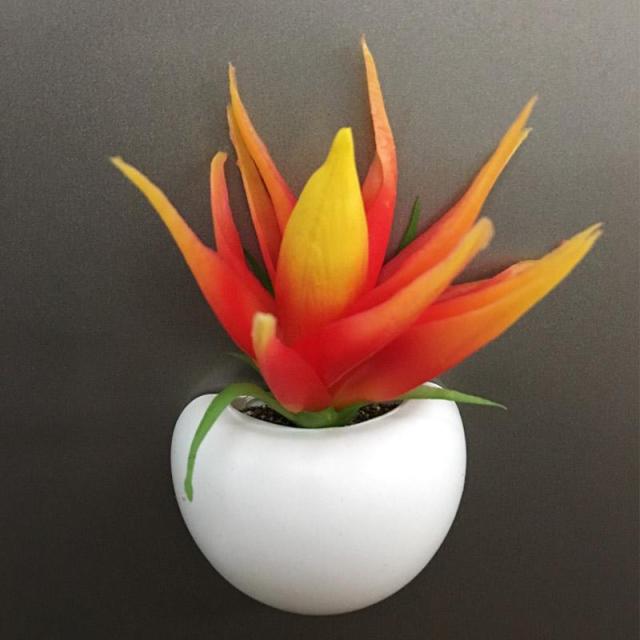 Plant Fridge Magnets