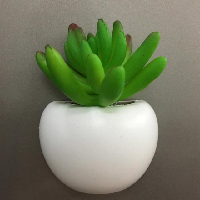 Plant Fridge Magnets